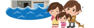 Preparing for disaster with your pets