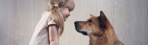 Why you should talk to your dog cover