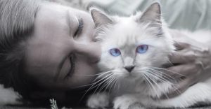 Five human feelings that get in the way of optimal health or wellness in our pets