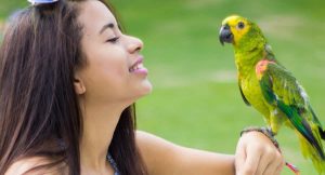 taking care of a parrot