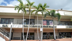 Boca Midtowne Animal Hospital, Palm Beach County, Boca Raton, FL.