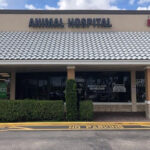 441 Animal Hospital, Palm Beach County, Boca Raton, FL