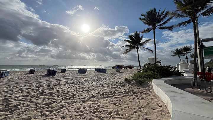 Canine Beach Fort Lauderdale 1