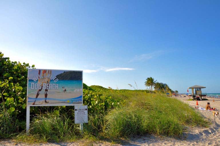 Hollywood Dog Beach sign