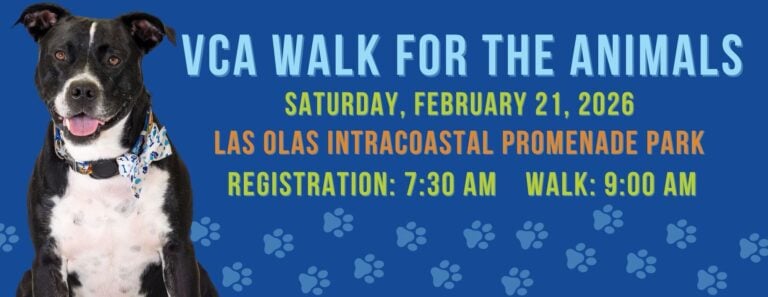 Annual VCA Walk for Animals 2026