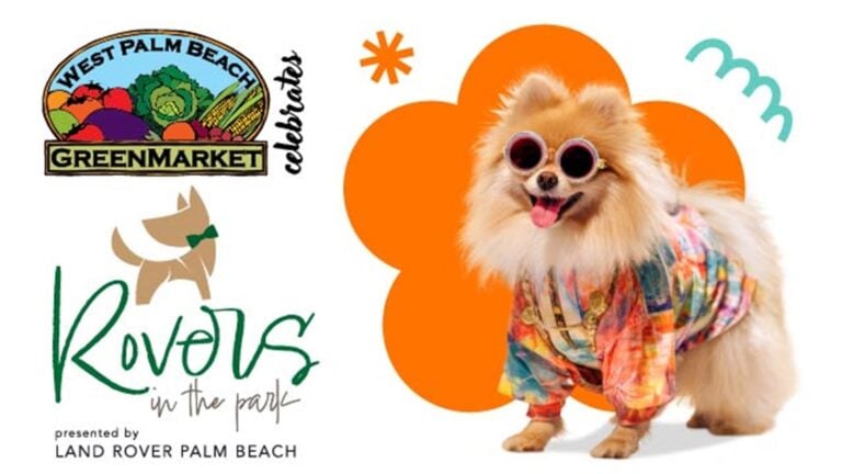 rovers-in-the-park pet friendly event west palm beach