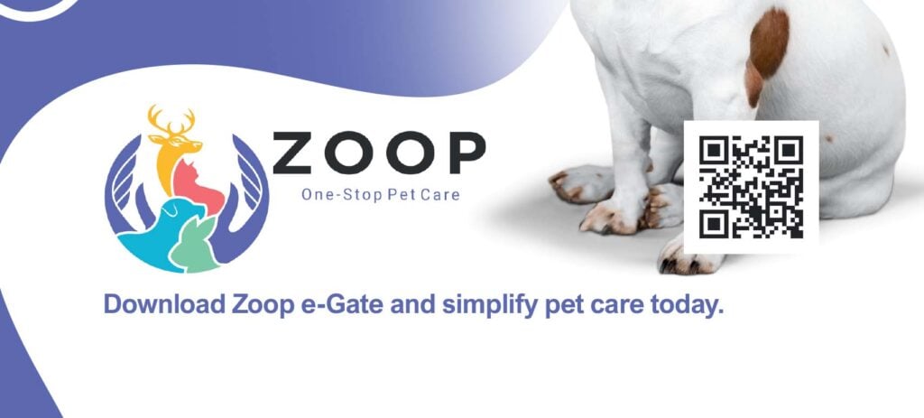 Zoop Cover Image for Pet Junction Directory Listing