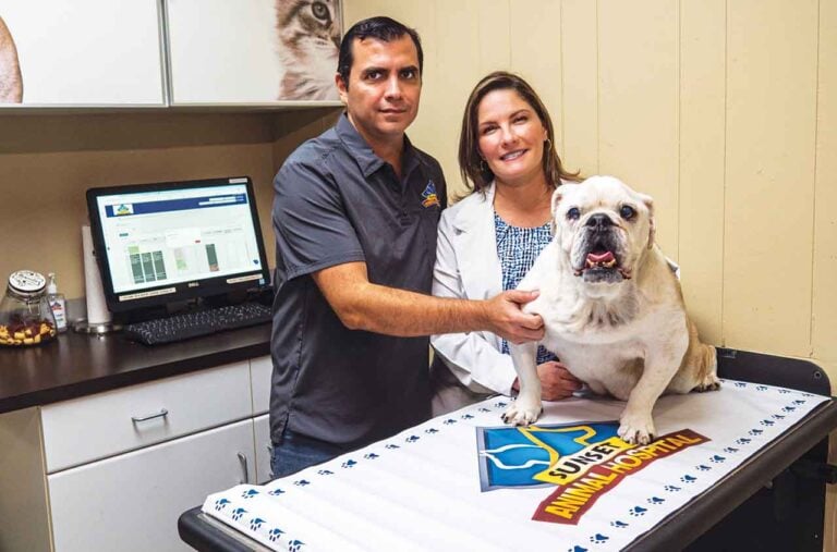 Business Spotlight 1 Sunset Animal Hospital Dr Christine