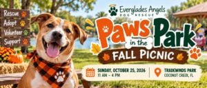 Paws in the Park Everglades Angels Fall Picnic at Tradewinds Park in Coconut Creek