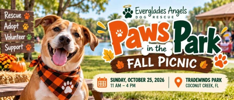 Paws in the Park Everglades Angels Fall Picnic at Tradewinds Park in Coconut Creek