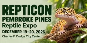 Repticon Pembroke Pines event graphic featuring a leopard gecko, December 19–20, 2026, at Charles F. Dodge City Center.