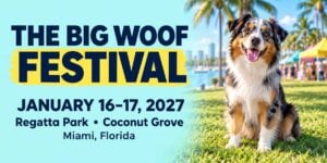 The Big Woof Festival event graphic featuring an Australian shepherd, January 16–17, 2027, at Regatta Park in Coconut Grove, Miami.