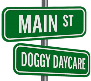 main-st-doggy-daycare-logo