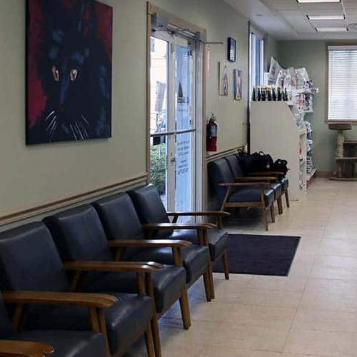 All Aboard Animal Hospital