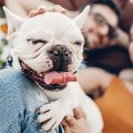 Gun-World-of-South-Florida-young-couple-with-dog-protect-entire-family