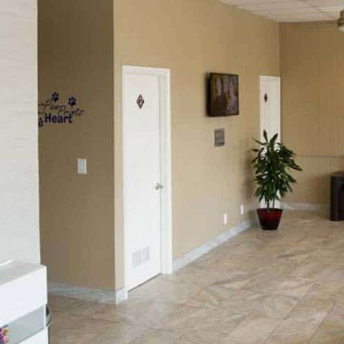 Sunset Animal Hospital Lobby